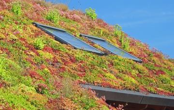 Durweston living roof systems