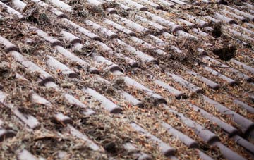 Durweston roof cleaning companies