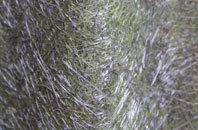 Durweston fibreglass roof work